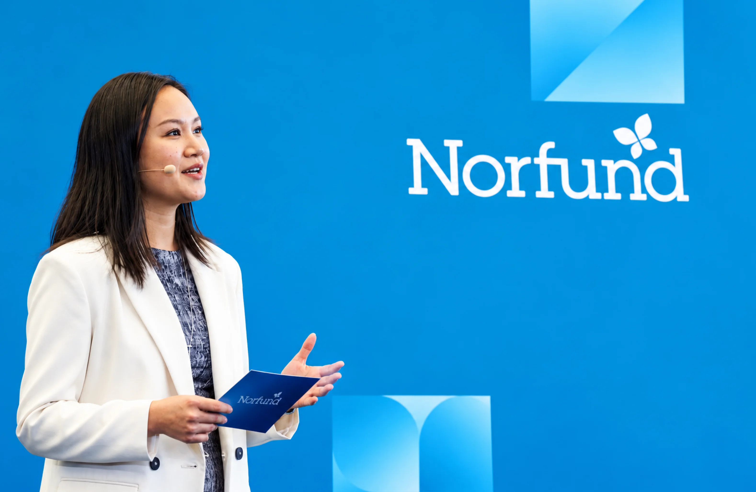 About Norfund